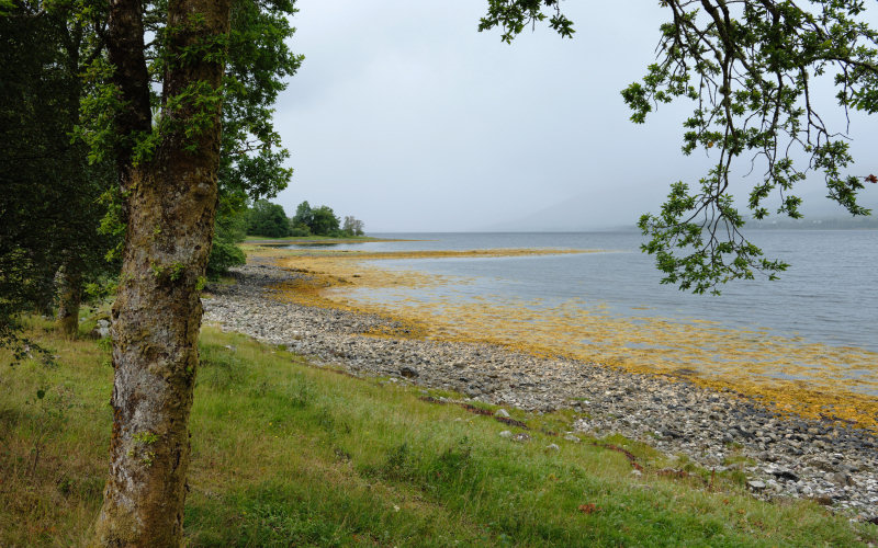 Loch Eil